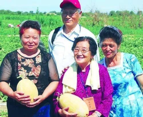 娱乐吃瓜教授